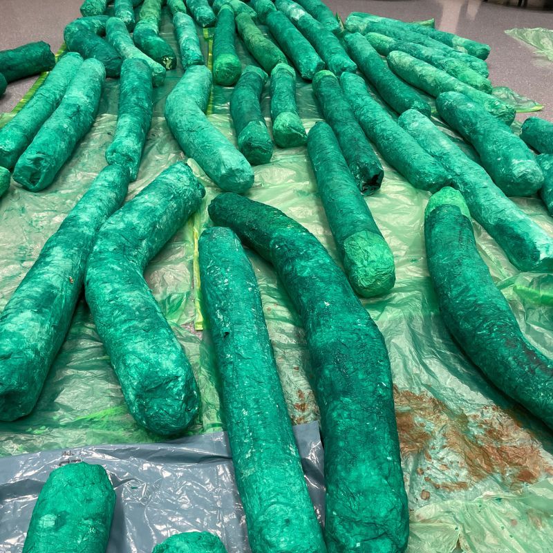 Viele grüne Wurzeln